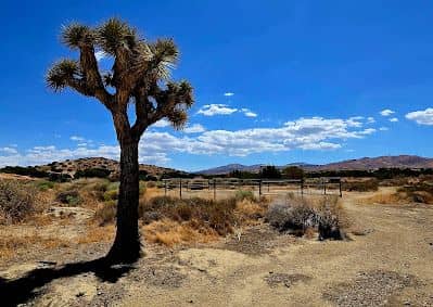 Tejon Park - Image 3