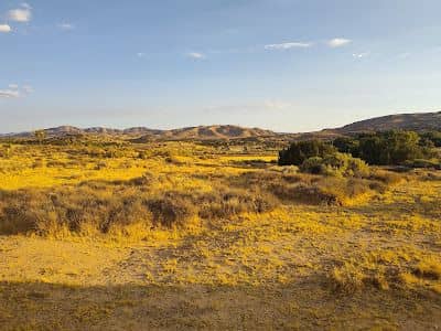 Tejon Park - Image 1