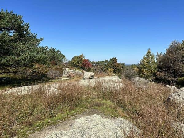 Surebridge Mountain - Image 3