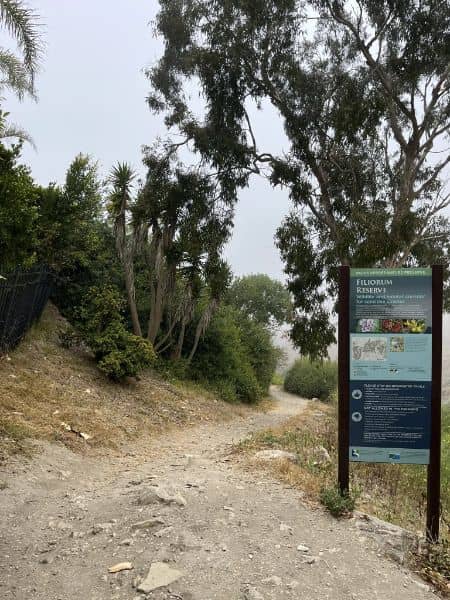 Filiorum Reserve - Image 5