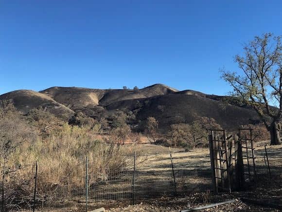 Old Agoura Park - Image 3