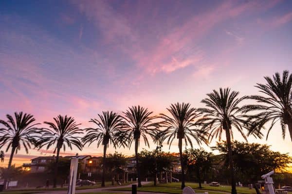Sunset View Park - Image 5