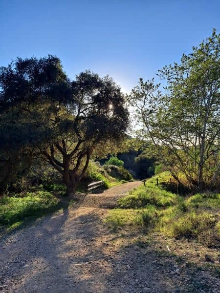 Turnbull Canyon - Image 5