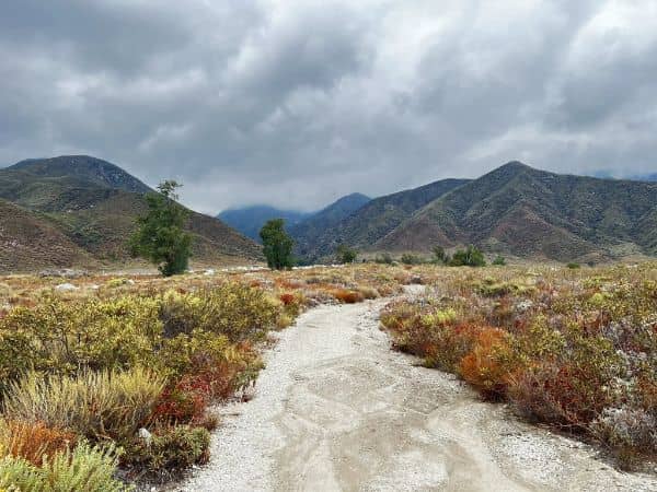North Etiwanda Preserve - Image 2