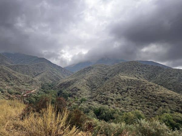 North Etiwanda Preserve - Image 3
