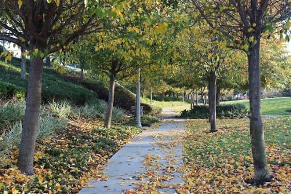 Sergeant Matt Davis Park - Image 3