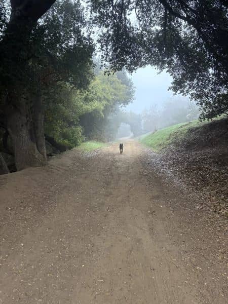 Powder Canyon - Image 1