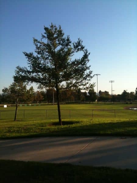 Westwind Park - Image 1