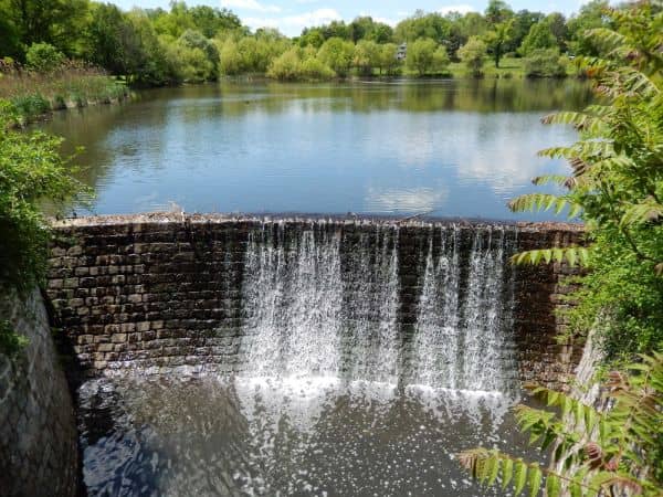 Briant Park - Image 1