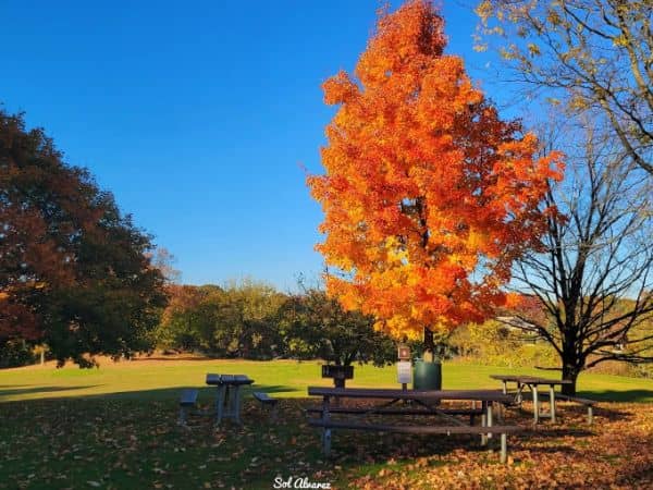 Five Islands Park - Image 3