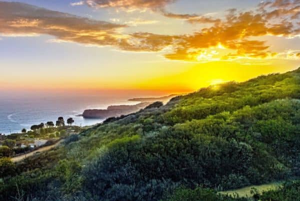 Palos Verdes Peninsula Land Conservancy - Image 2