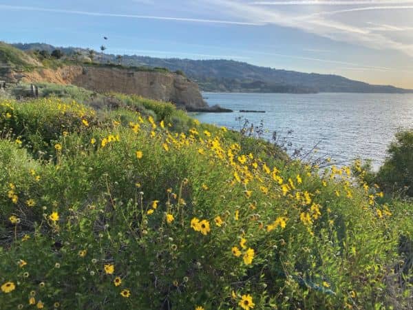 Palos Verdes Peninsula Land Conservancy - Image 1