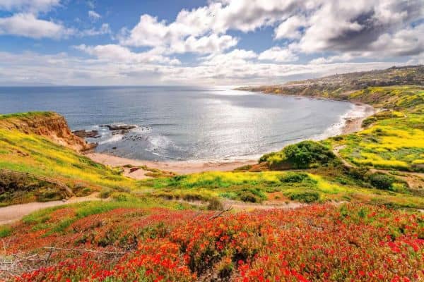 Palos Verdes Peninsula Land Conservancy - Image 3