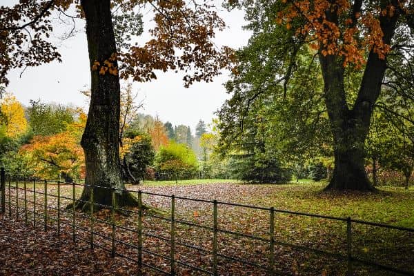 The Arboretum - Image 3