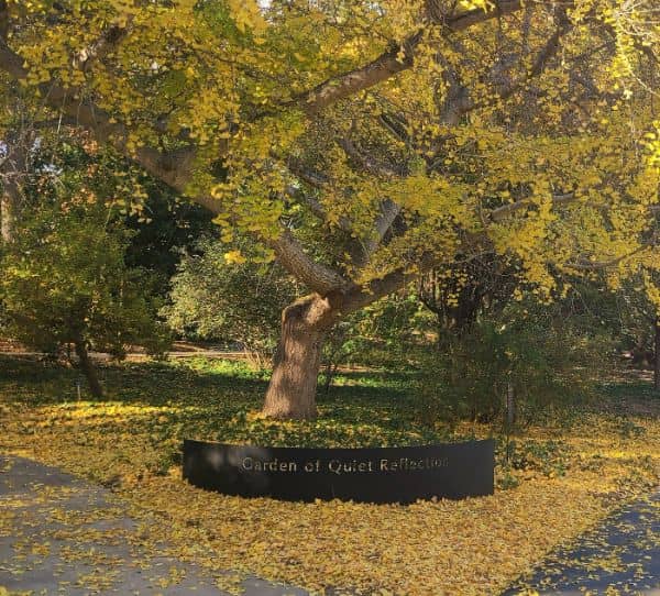 The Arboretum - Image 1