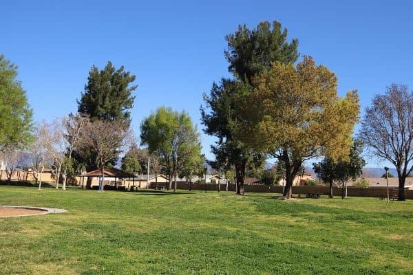 Flores Park - Image 4
