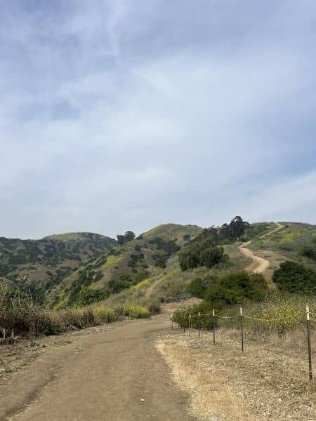Hellman Park Trailhead - Image 5