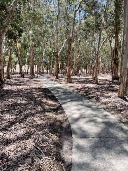 Serrano Creek Park - Image 4
