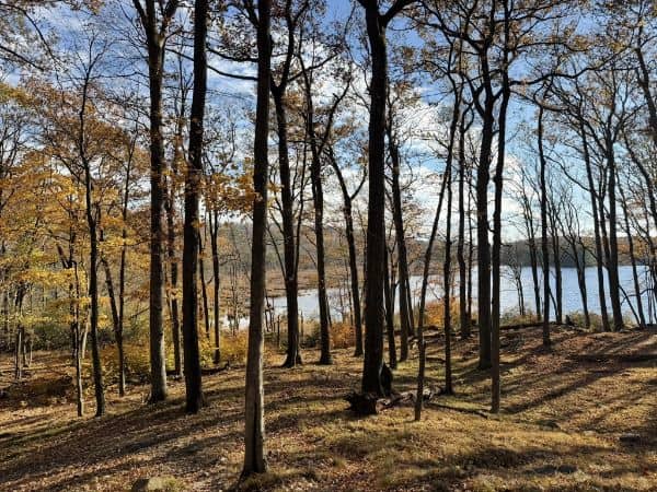 Lake Skannatati - Image 3