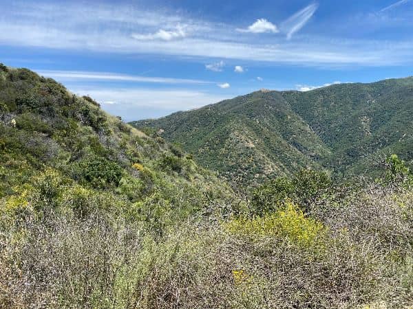 Skyline Drive Trailhead - Image 5