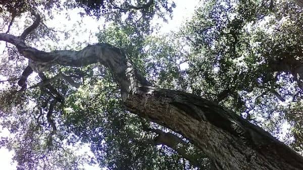 Rustic Canyon Park - Image 1