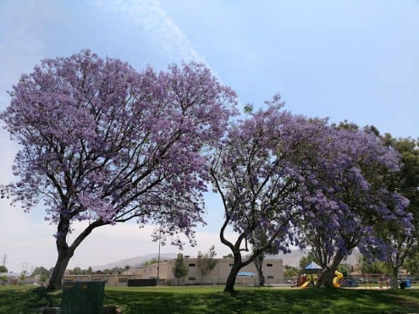 Chaparral Park - Image 2