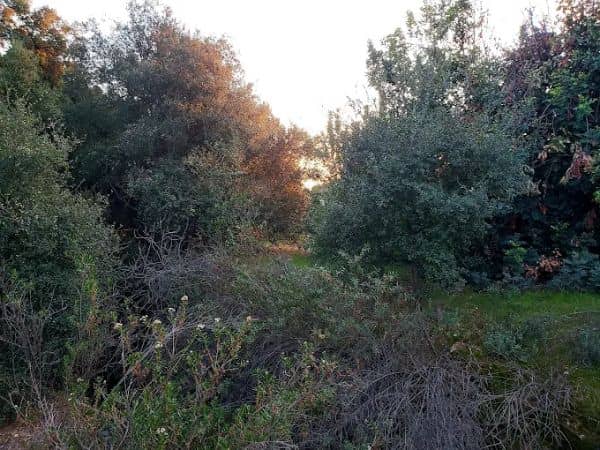 Golden Hills Wilderness Park - Image 5
