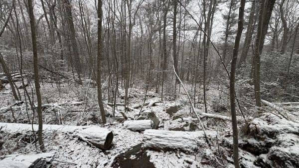 Arden Surebridge Trail (red markers) - Image 3