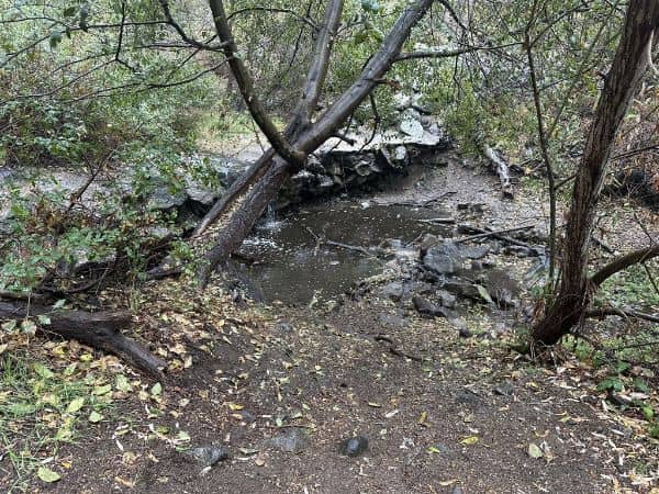 Big Dalton Wilderness Area - Image 2