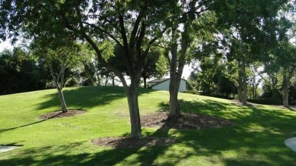 Forest Cove Park - Image 2
