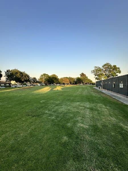 Magnolia Tree Park - Image 5