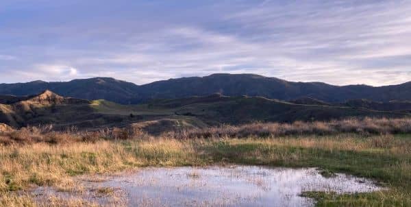 Golden Valley Open Space Vernal Pool - Image 1