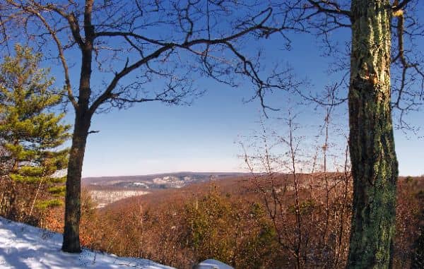 Delaware State Forest - Stairway Wild Area - Image 1