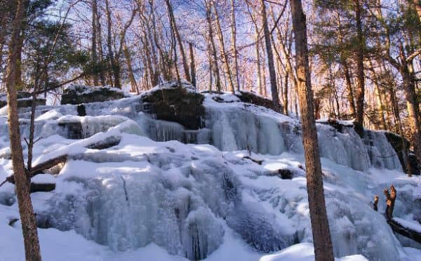 Delaware State Forest - Stairway Wild Area - Image 3