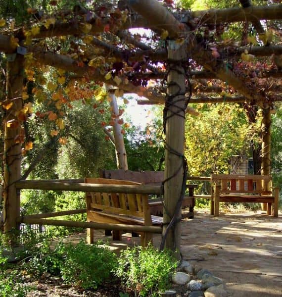 Reyes Adobe Park - Image 1