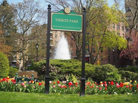Tibbits Park - Image 1
