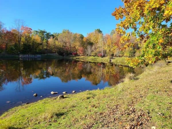 Greg Sikorsky Childrens Park | Lime Kiln Park - Image 2