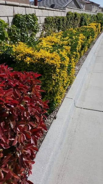 Brentwood Park - Image 2