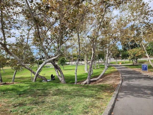 Sycamore Park - Image 1