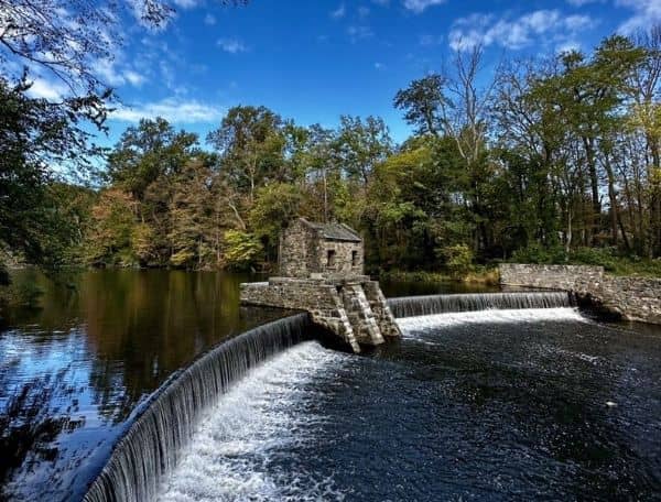Speedwell Lake Park - Image 3