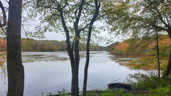 Millers Pond County Park - Image 1