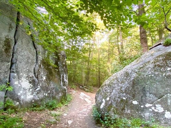 Saxon Woods Park - Image 3