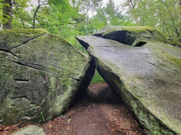 Saxon Woods Park - Image 1