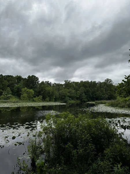 Farrington Tract - Image 1