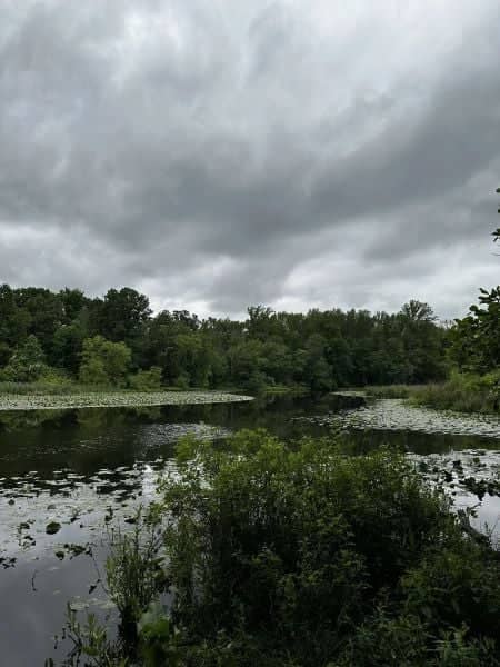 Farrington Tract - Image 3