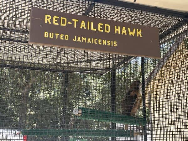 San Dimas Canyon Nature Center - Image 3