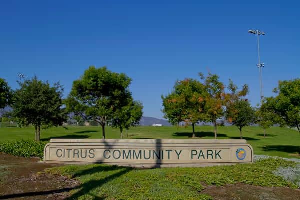 Citrus Park - Image 3