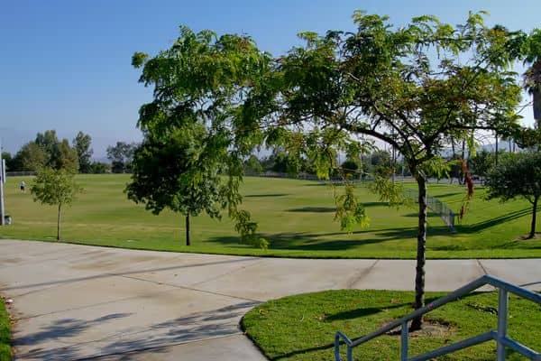 Citrus Park - Image 1