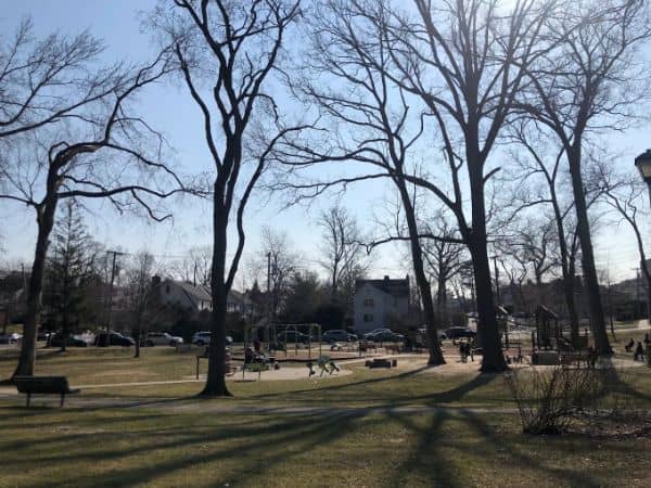 Turtle Park - Image 2