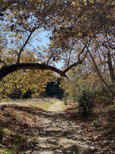 Tijeras Creek Trail - Image 1